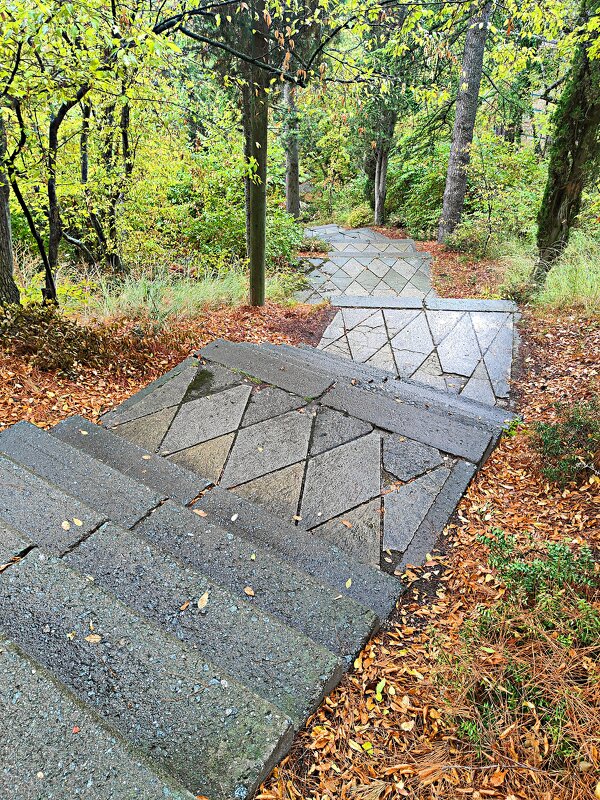 В парке санатория "Горный". - Виктор Мухин