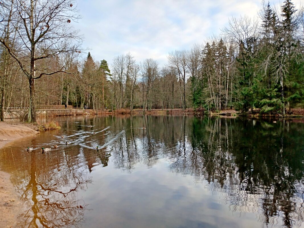 Лесное озеро. - Лия ☼ Лесное озеро. - Лия ☼