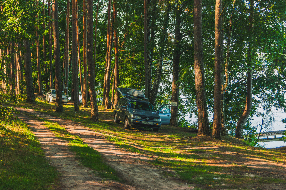 На берегу Чигиринского водохранилища. Беларусь - Игорь Сикорский