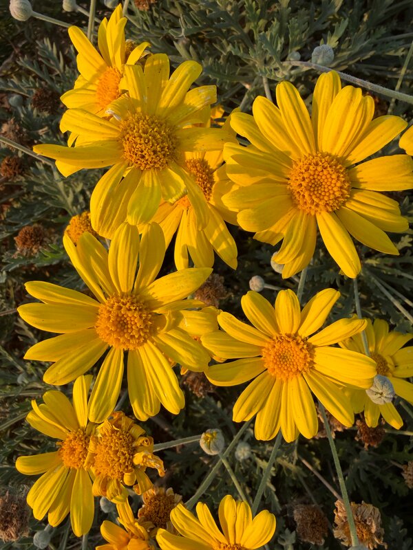 Лето продолжается в ноябре - Александр Деревяшкин Лето продолжается в ноябре - Александр Деревяшкин