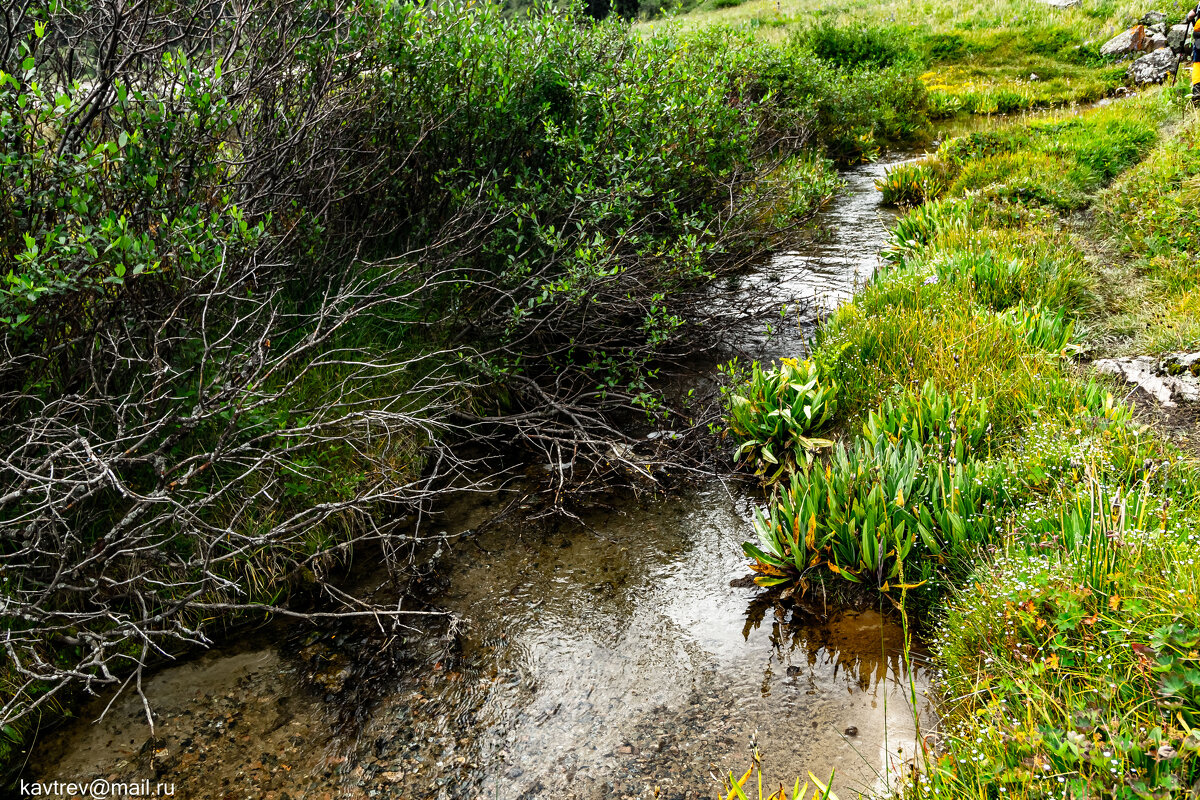 ГОРНЫЕ РУЧЬИ - HART BAD