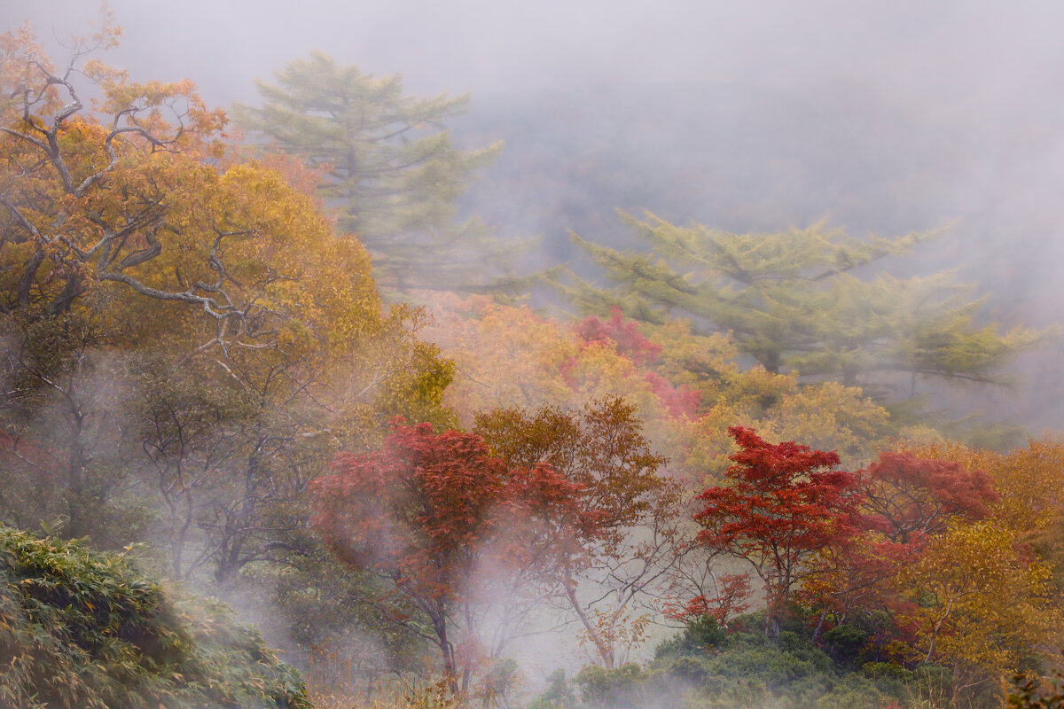 Осень на итурупе - Ксения N