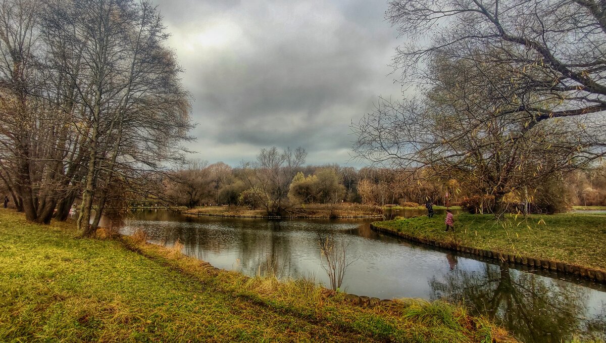 Ноябрь на Терлецких прудах - Наталья Лакомова