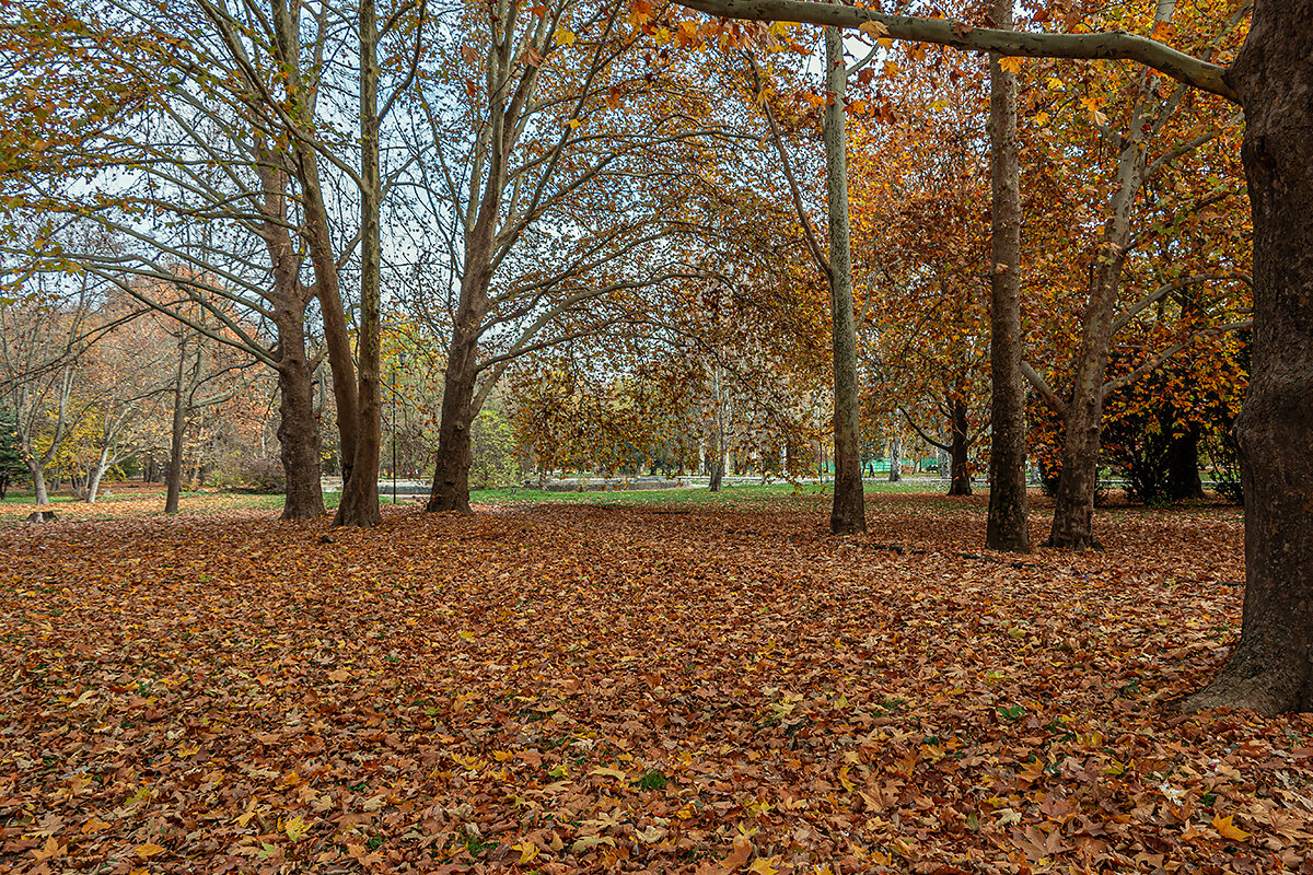 В аллеях - Юрий Яловенко