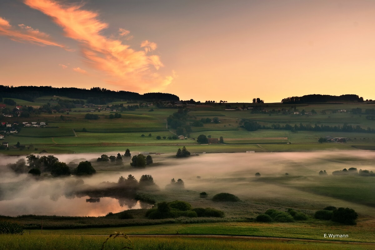 misty morning - Elena Wymann