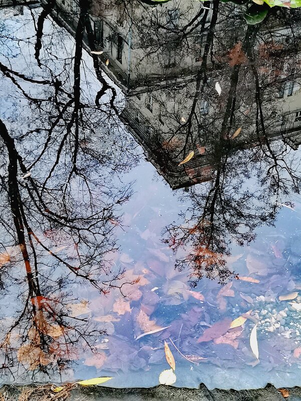 Осень. Отражение. - Любимова Ольга Осень. Отражение. - Любимова Ольга