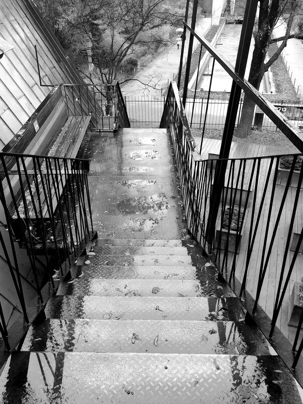 Черно-белая фотография - Любимова Ольга 