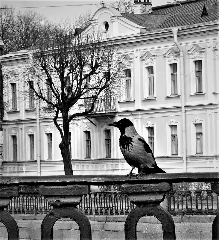 СМОТРЯЩИЙ - Виктор Никитенко