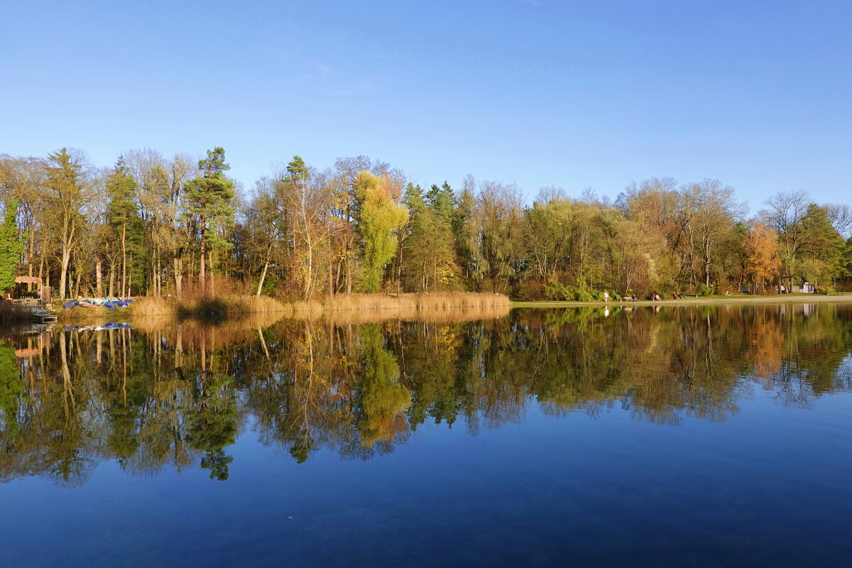 Лес, точно терем расписной, Лиловый, золотой, багряный ... - Галина 