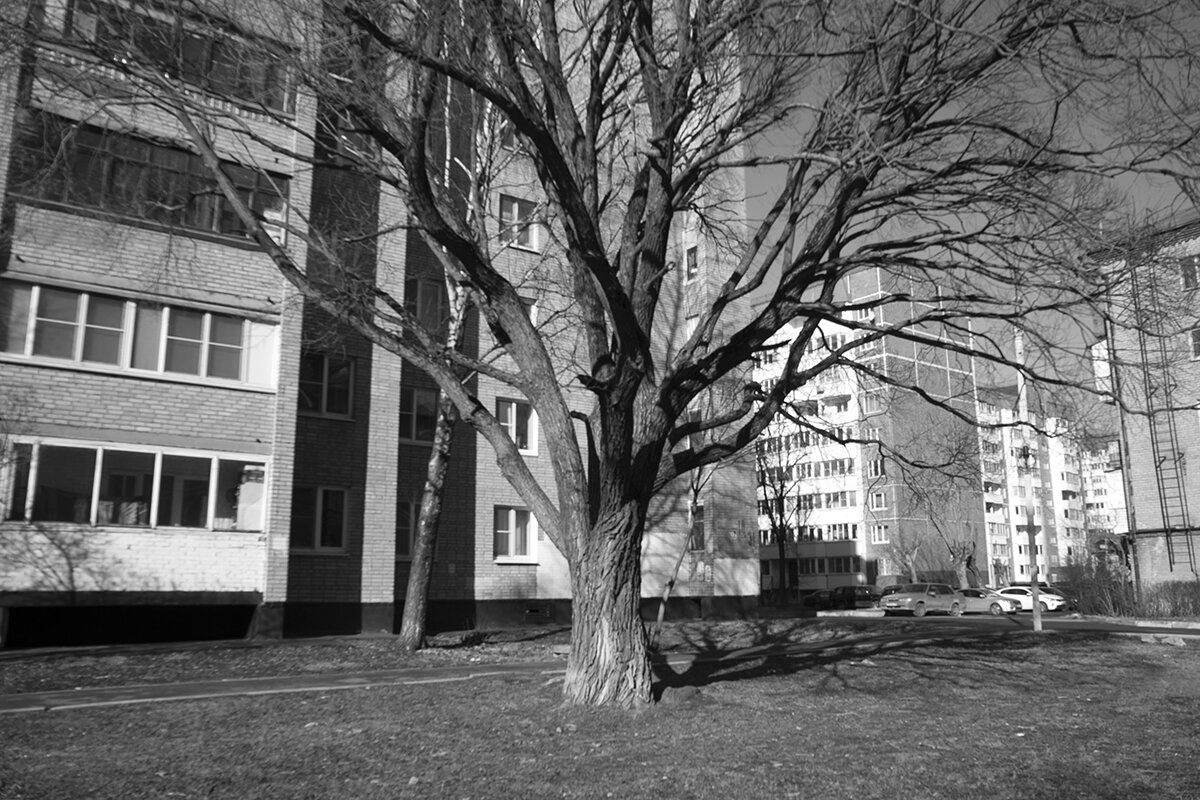 *** - Владимир Носов