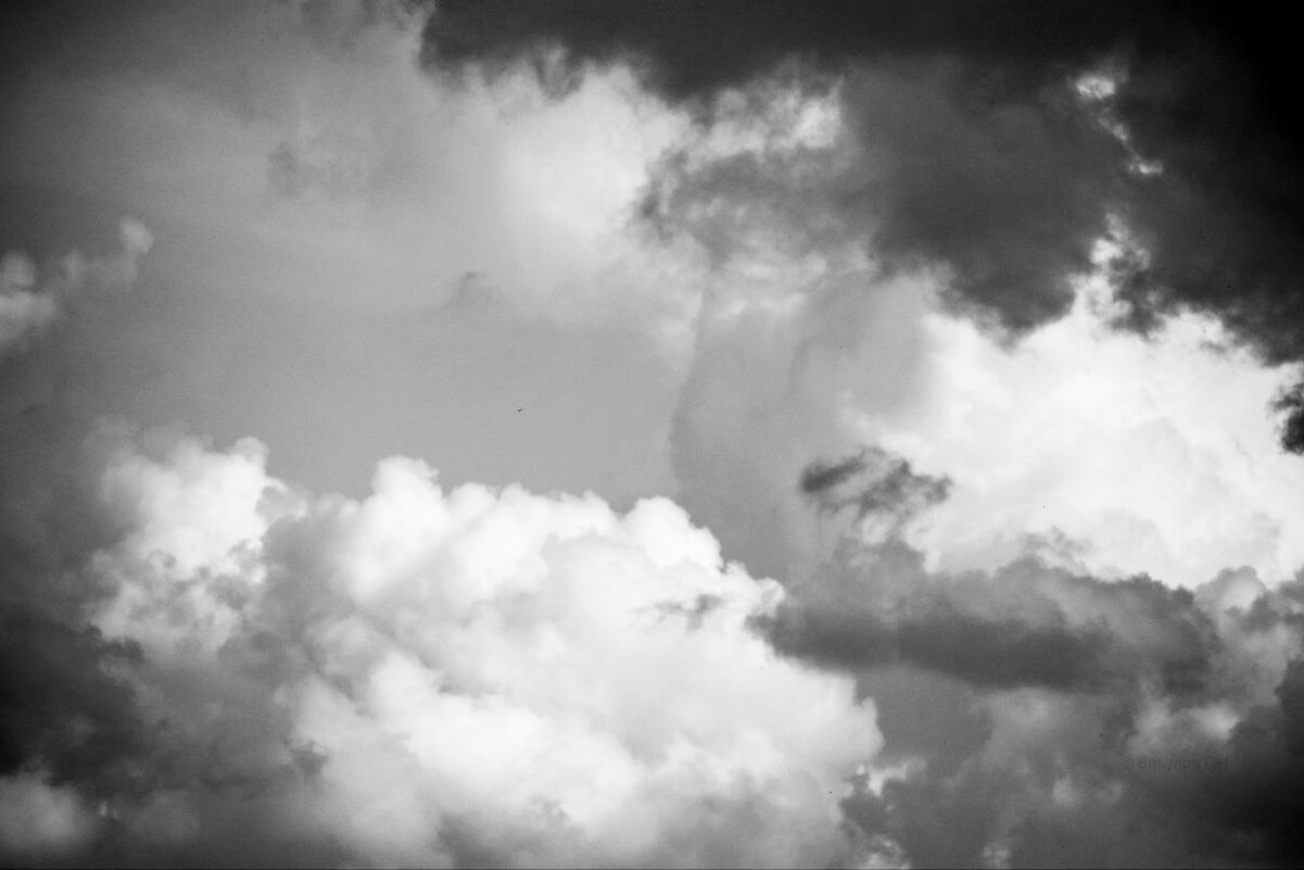 В чб - Sergei Vikulov