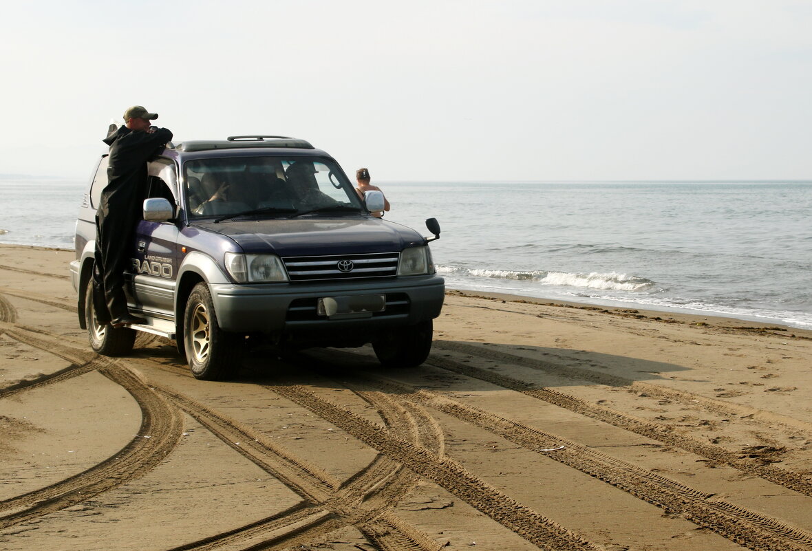 Ловцы браконьеров. - Ирина Нафаня