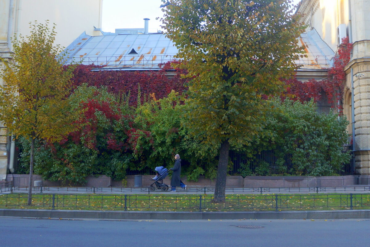 прогулка - zavitok *