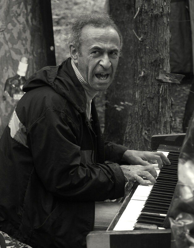 Рояль в кустах - СЮ 