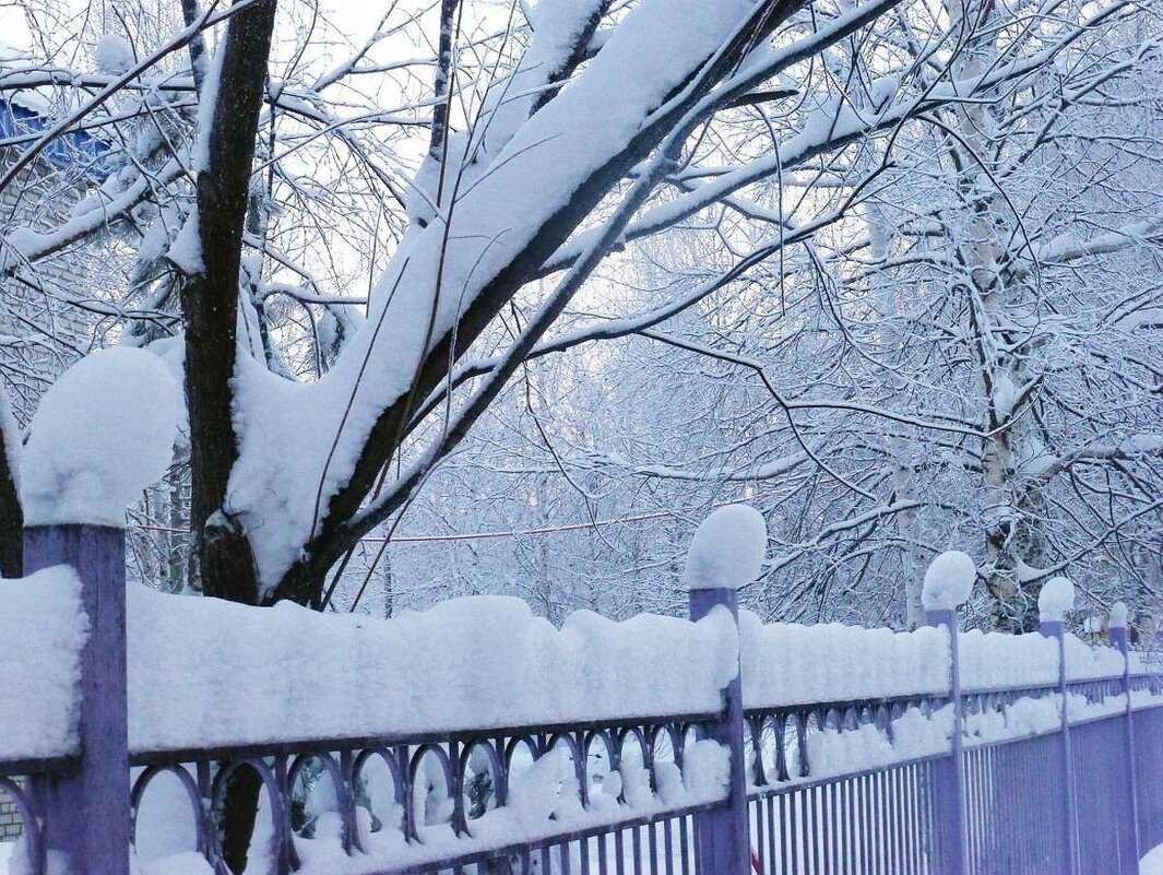 Декабрь...Утро после снегопада! - Владимир 
