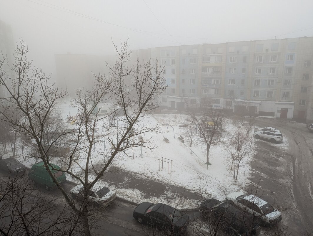 Туман,ноября - Андрей Хлопонин Туман,ноября - Андрей Хлопонин