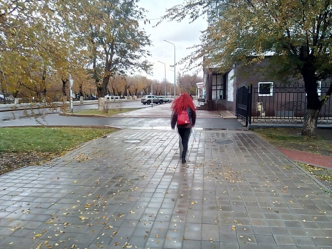 Дожди - Георгиевич 