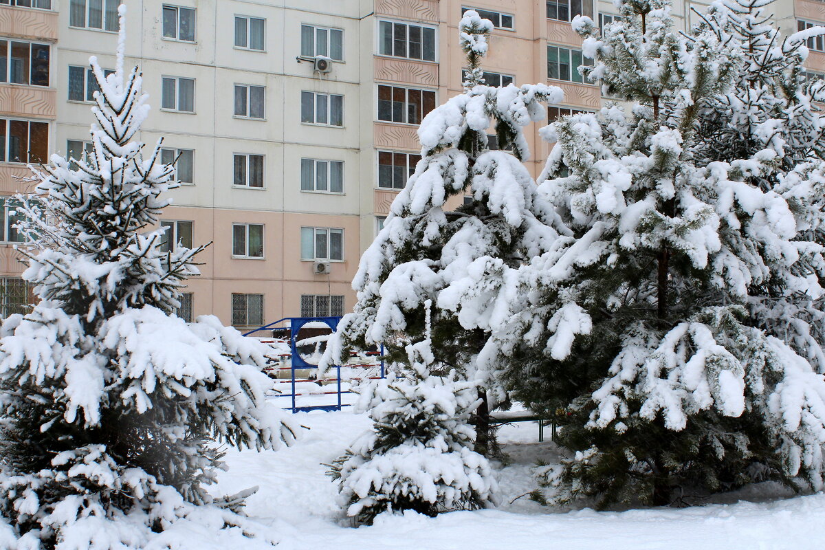 ...В снега и метли закутавшись спят - Татьяна Лютаева