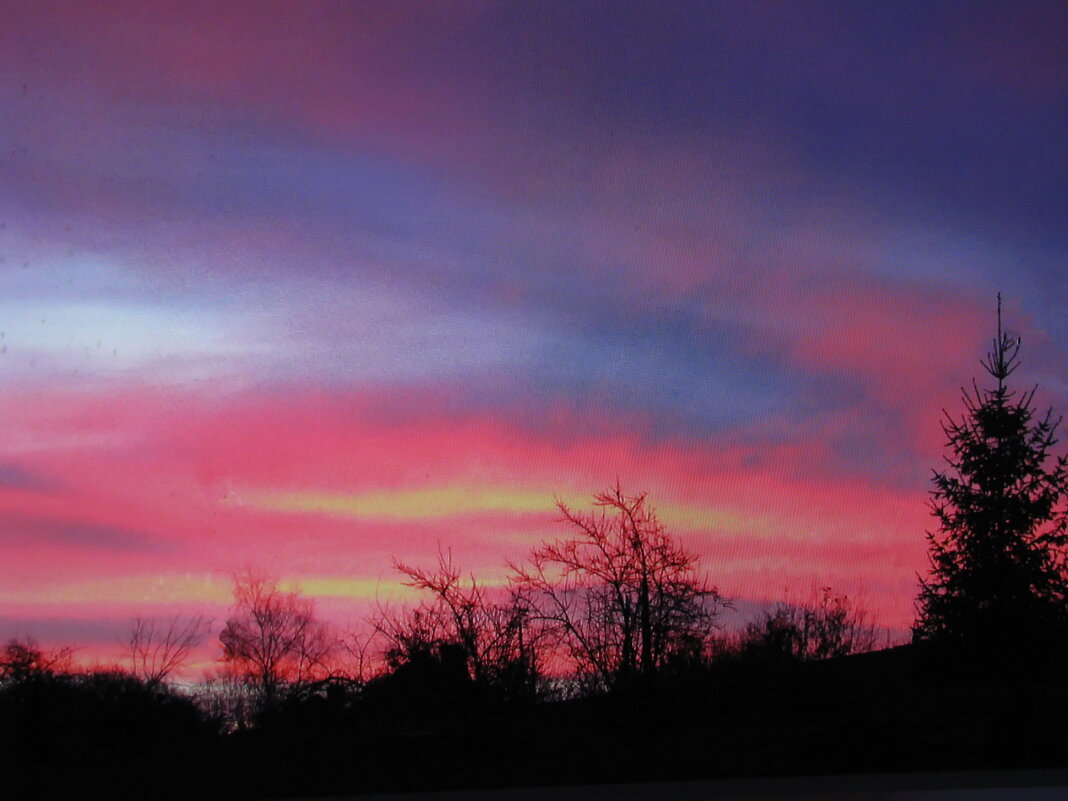 Ноябрьское утро - Людмила Смородинская