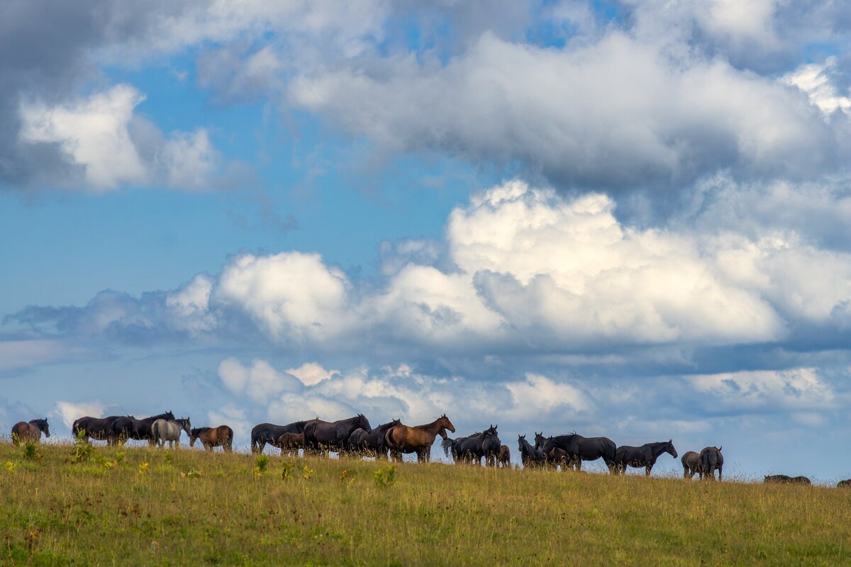 На плато Лаго-Наки - Игорь Сикорский