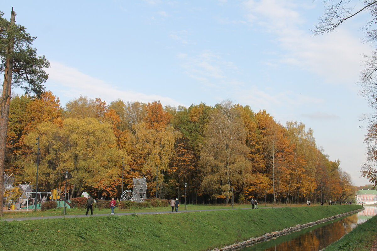 ЧУДЕСНЫЕ МГНОВЕНИЯ ОСЕНИ - Валентина 