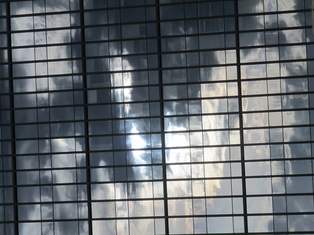 .......... - Елена Шаламова