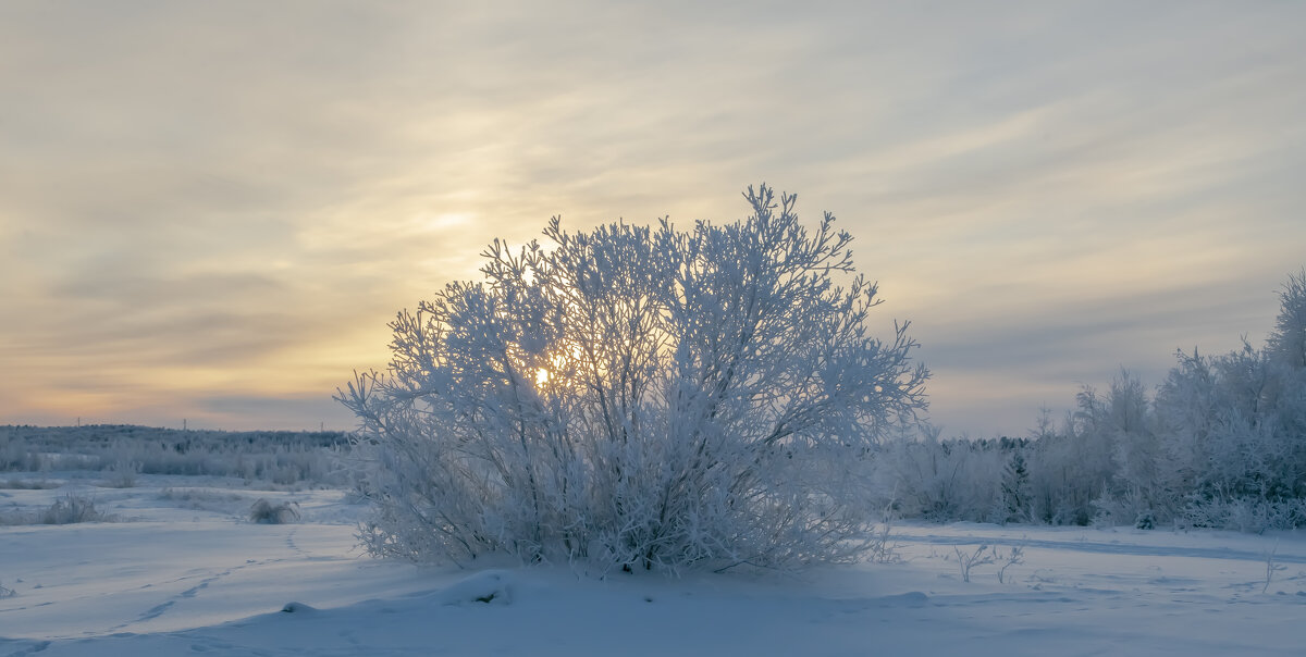 Изморозь - Игорь Шабалин