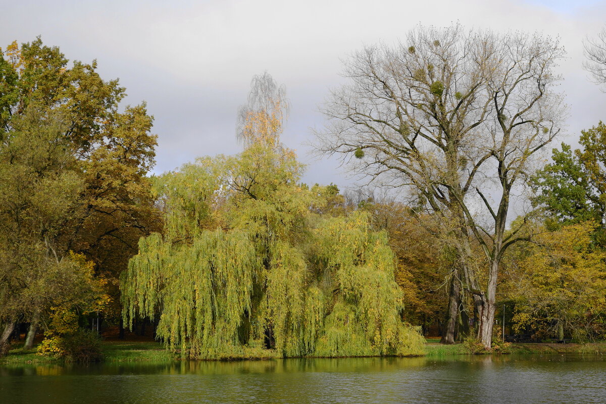 Картинки осени - Рита Симонова