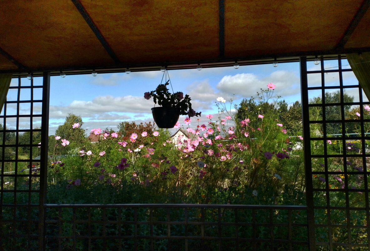 *** - Валентина Береснева