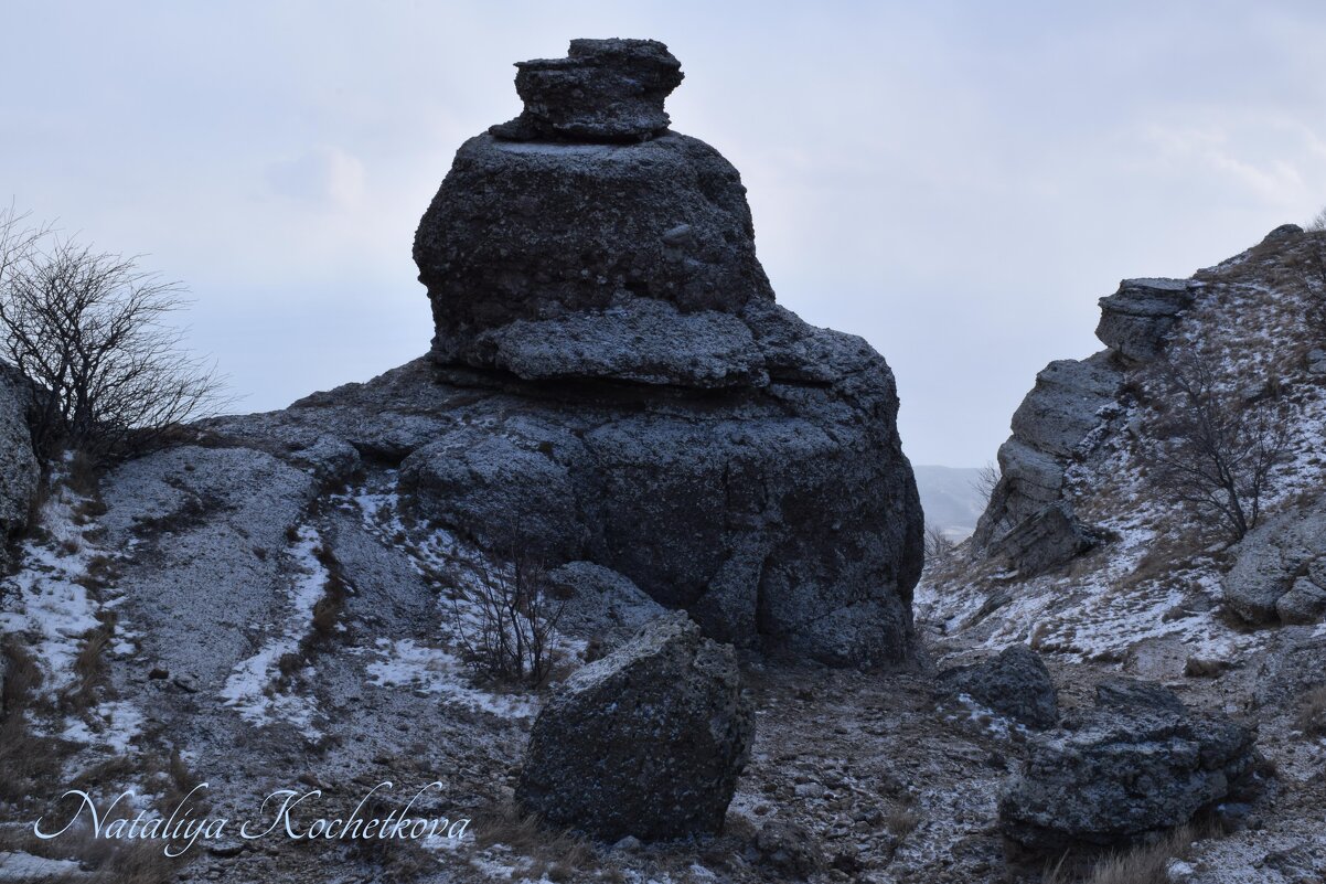 Природа Крыма - Amazing Cosmea