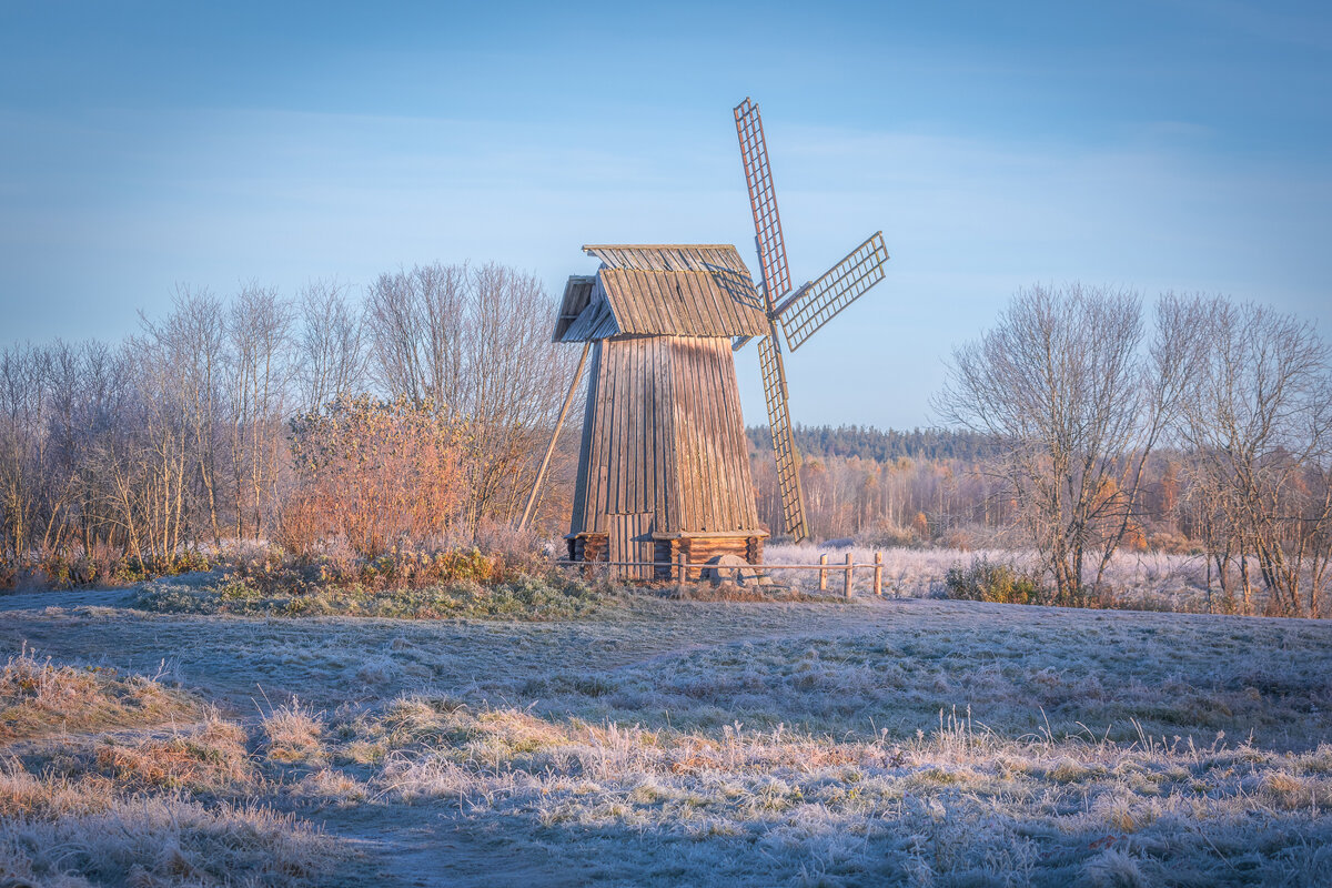 **** - Елизавета .