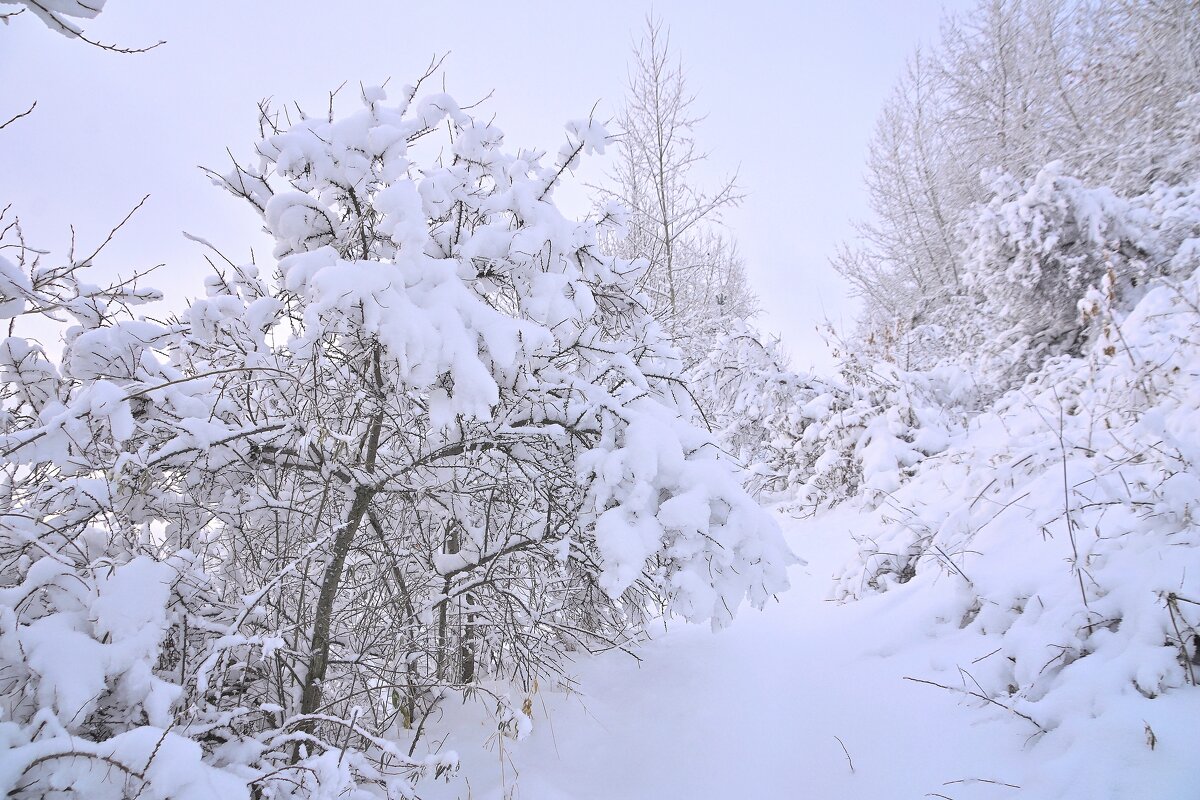 - - Владимир Мигонькин