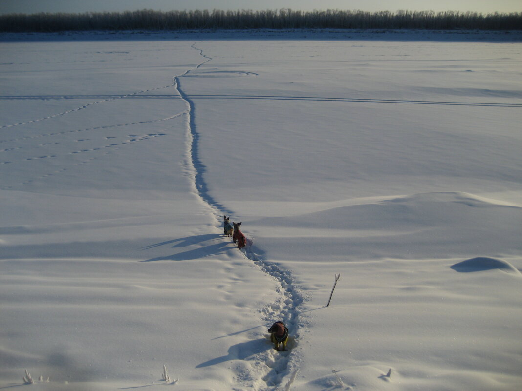 По своей тропе - Anna Ivanova