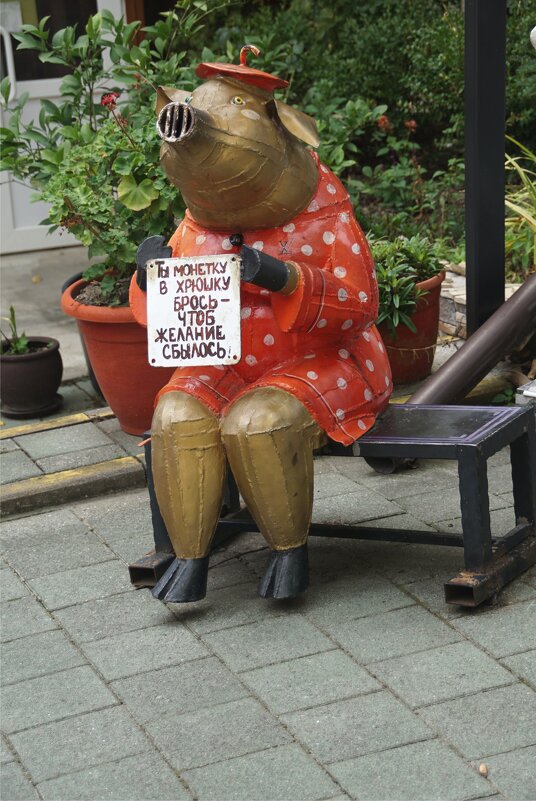 Свинский бизнес-проект - Наталия Григорьева