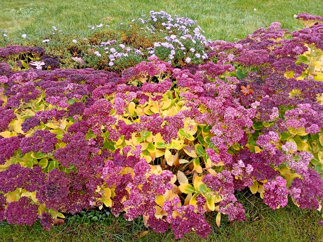 Самые стойкие. - Лия ☼ Самые стойкие. - Лия ☼