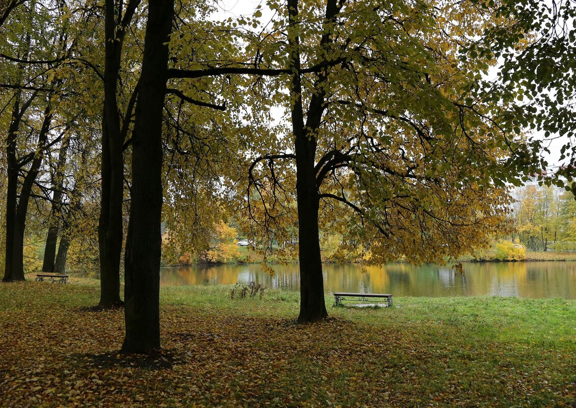 Осень - ZNatasha -