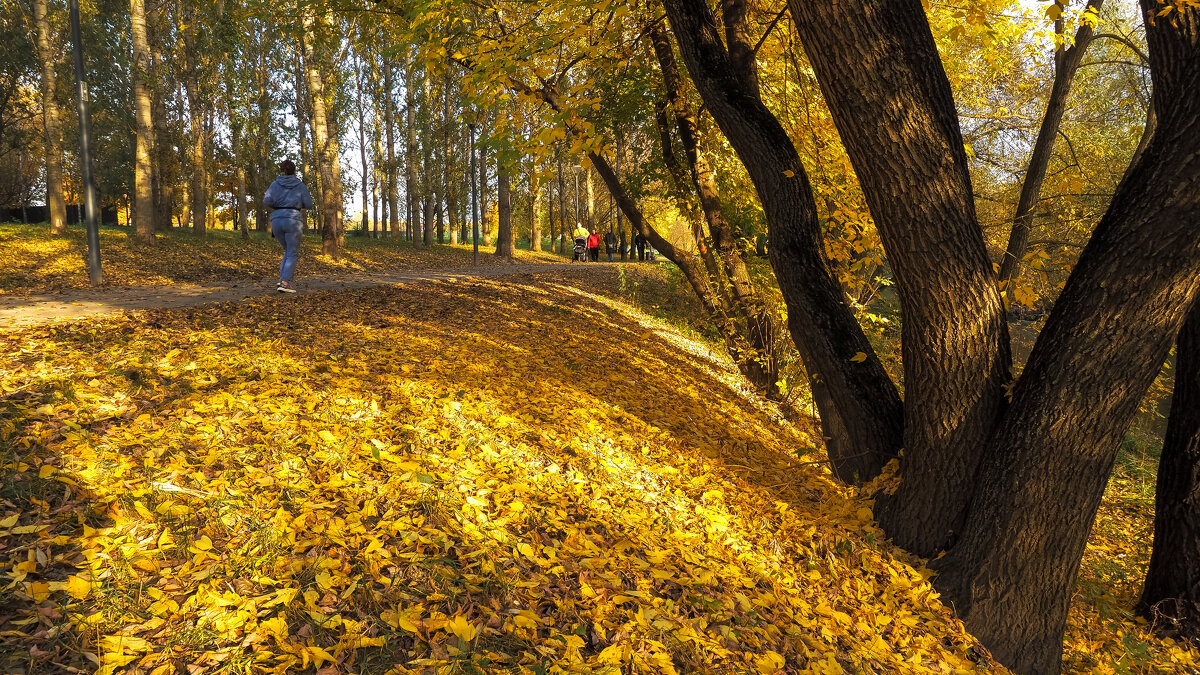 Осенний Сюжет - юрий поляков