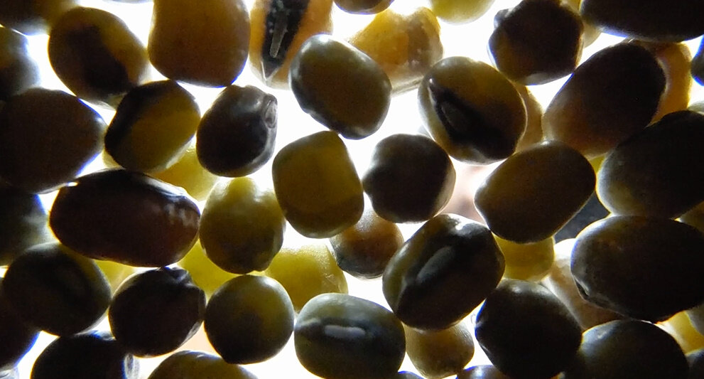 114 (138) - CLOSE WAYS ALL