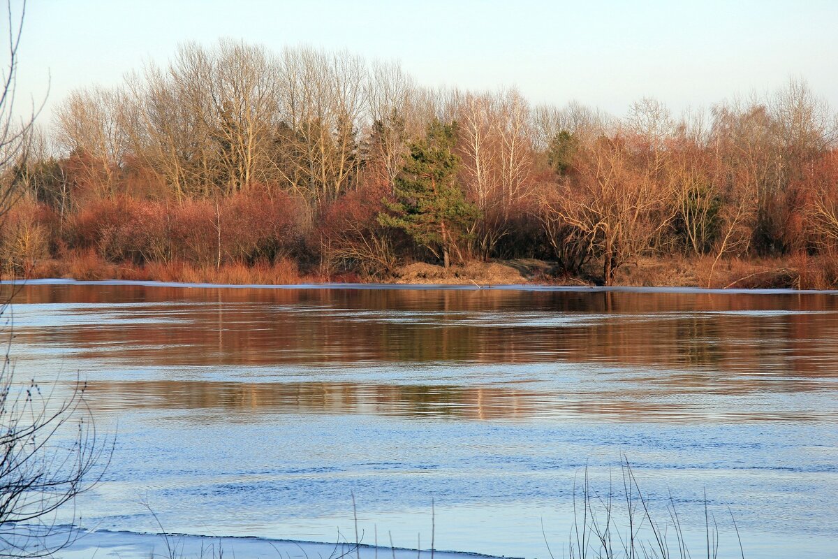 Март. р.Сож - Сергей Рожков