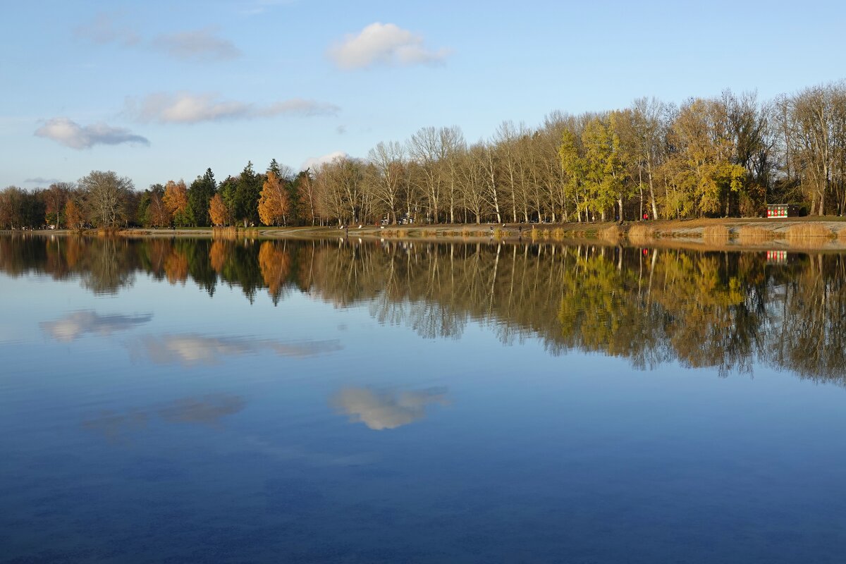 Улыбнулась осень на прощанье, подарив улыбку как весна... - Галина 