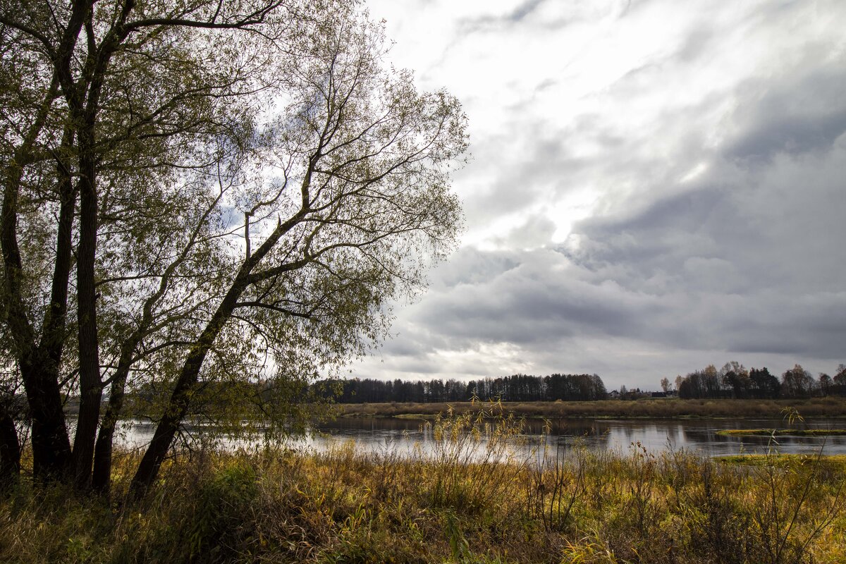 У реки. - Николай 