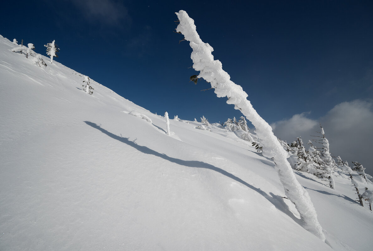 * - Александр Иванов