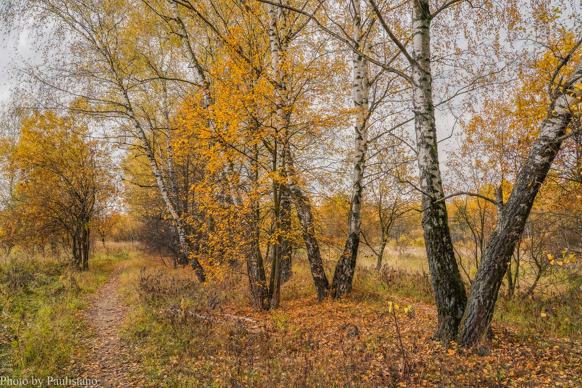 На опушке... - Владимир Жданов