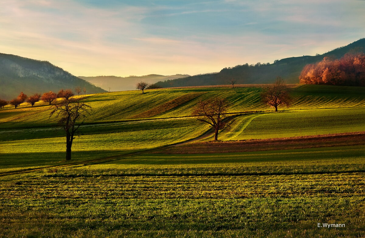 evening - Elena Wymann evening - Elena Wymann