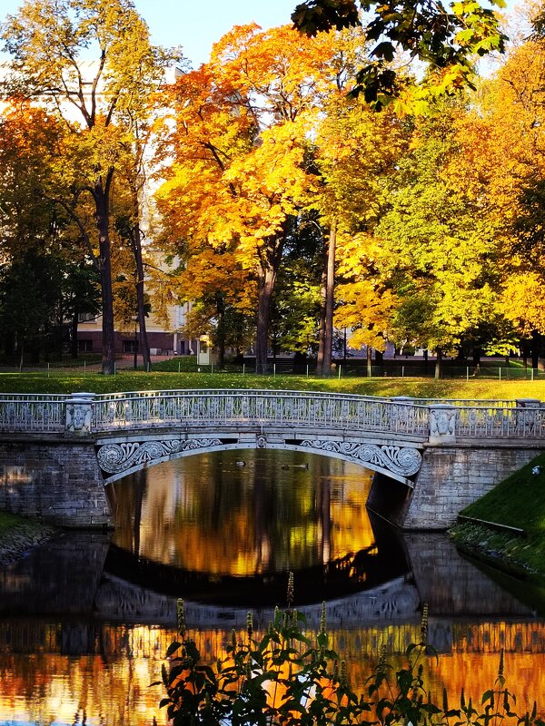 осень - Евгений Фролов