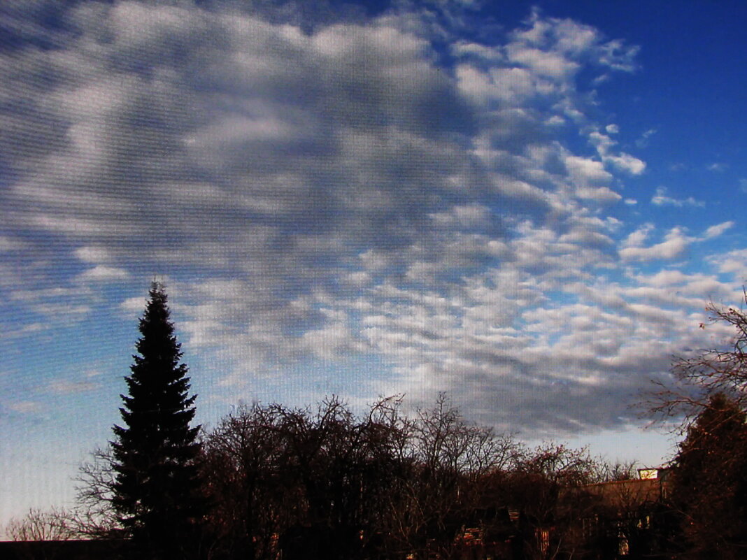 Ноябрьский денёк - Людмила Смородинская