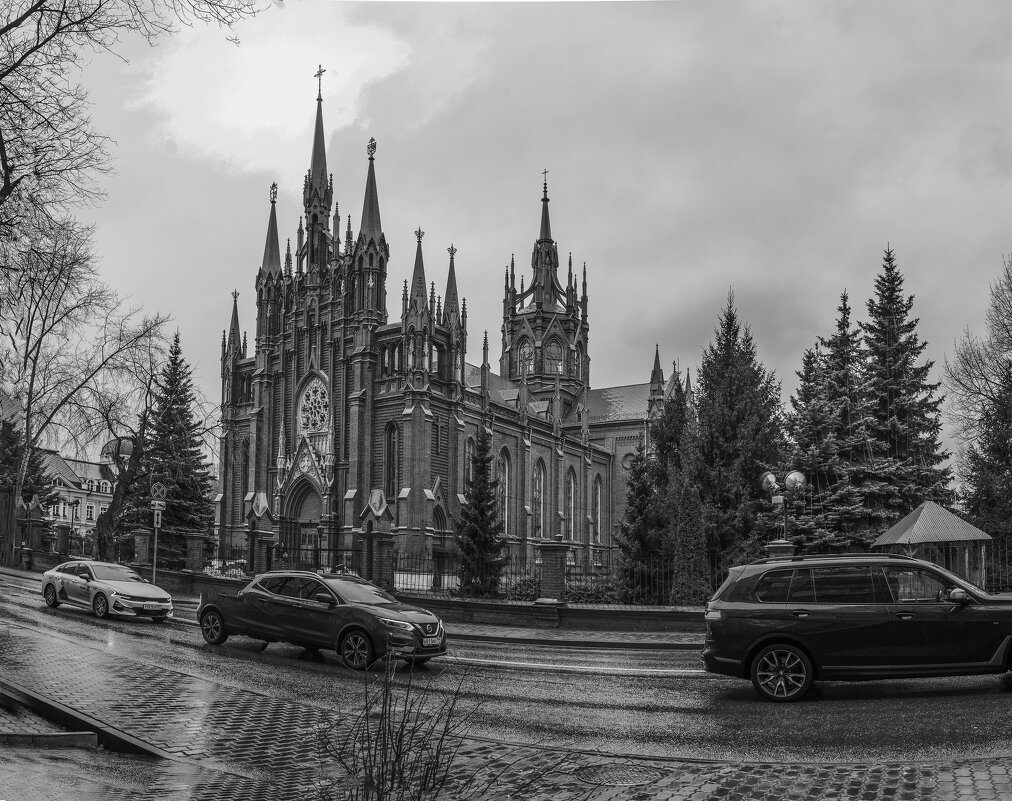 Собор Непорочного Зачатия. - Николай 