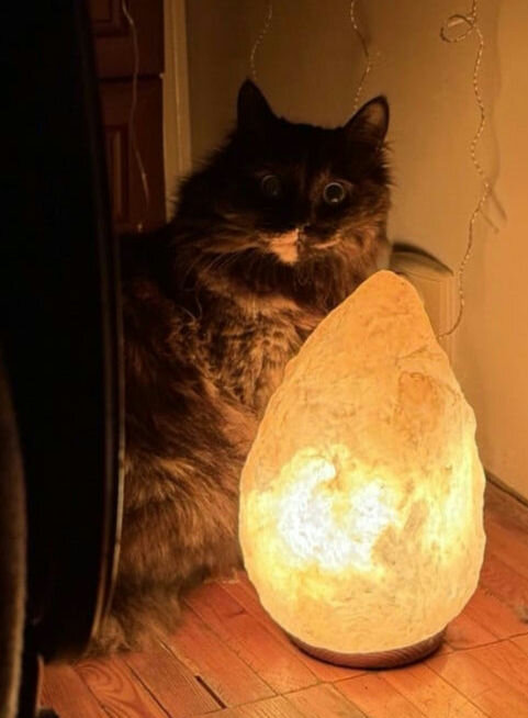 Загадка - Алексей Домрин