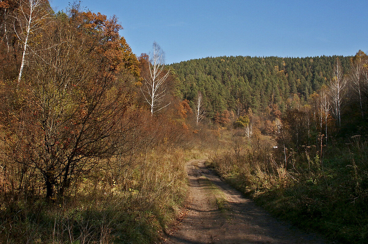 Осенний день - MILAV V