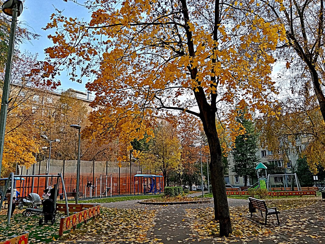 Осень. - Владимир Драгунский